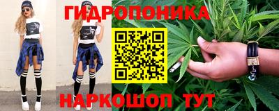spice Кунгур