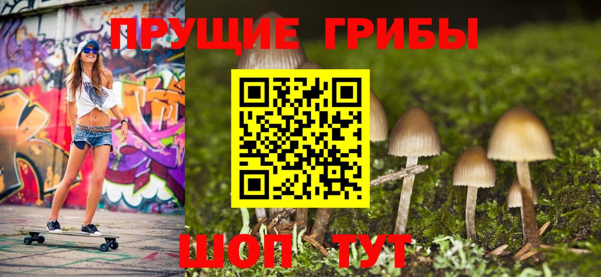 Псилоцибиновые грибы прущие грибы  Вход с VPN  Галлюциногенные грибы GOLDEN TEACHER  Ессентуки 